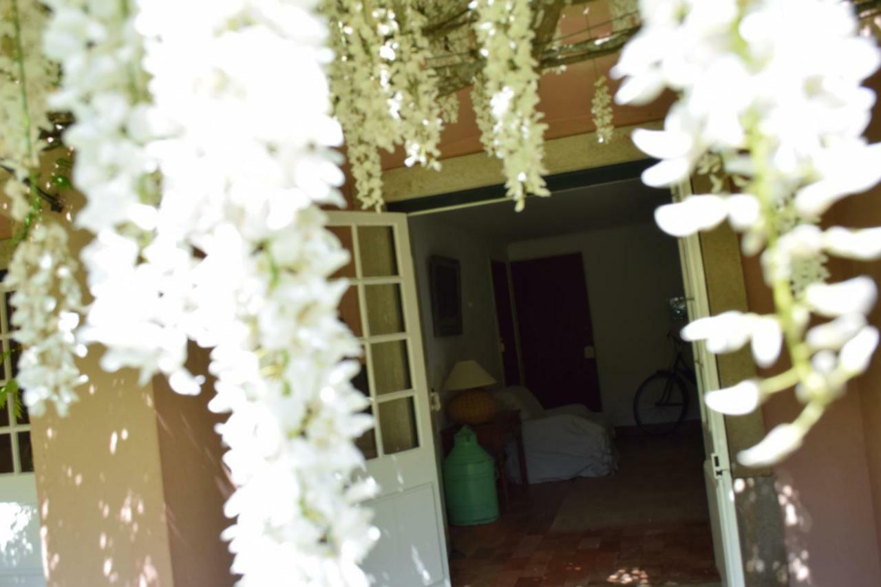 Quinta Da Varzea Villa Sintra Eksteriør billede